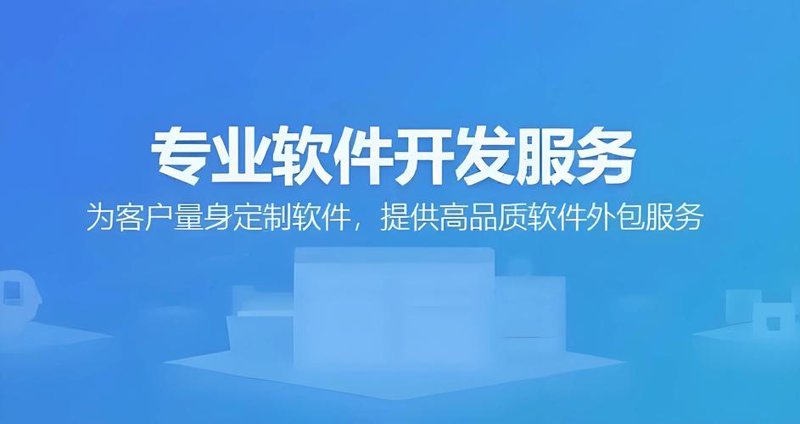 解读ERP系统定制的关键作用