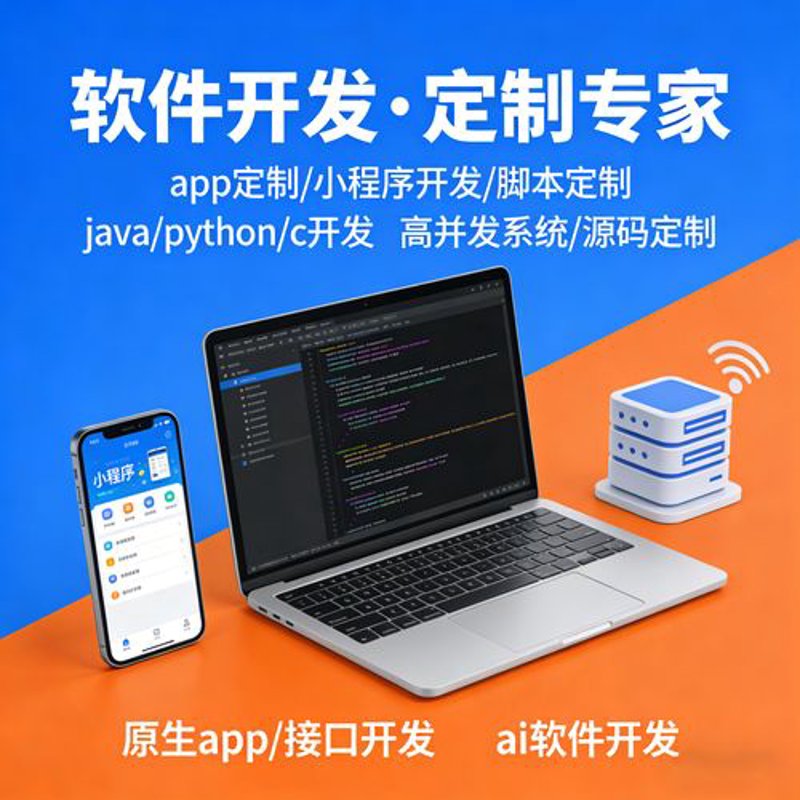 定制软件外包